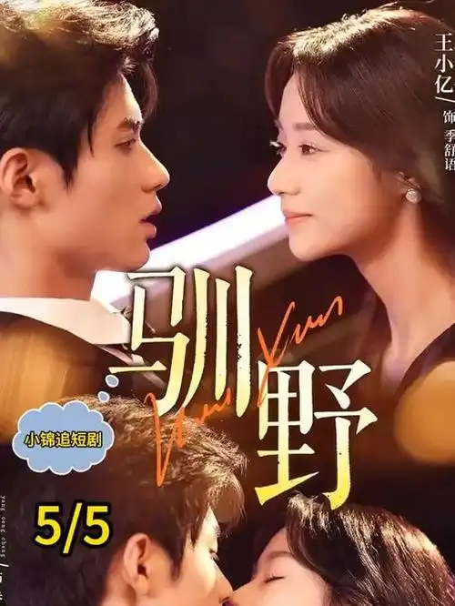 迅播电影网剧集暗涌之城海报
